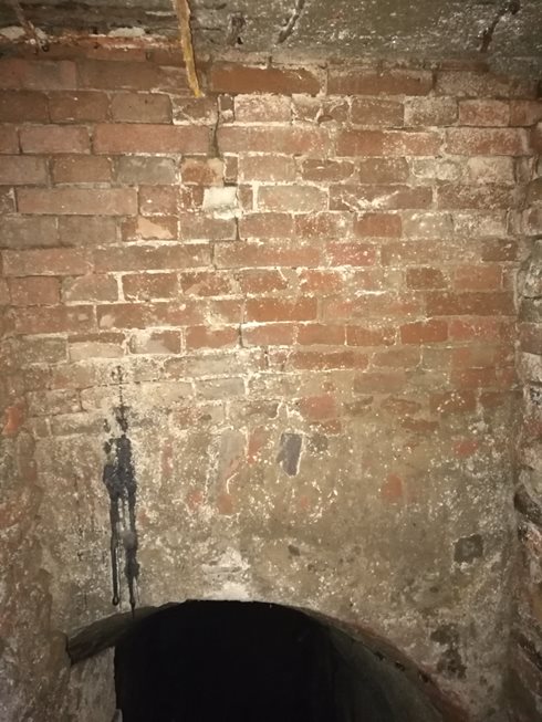 IMG_20170409_122910.jpg